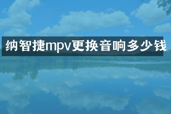 纳智捷mpv更换音响多少钱