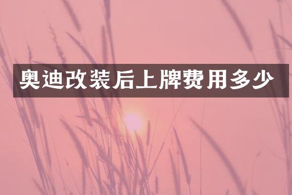奥迪改装后上牌费用多少