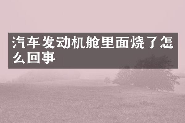 汽车发动机舱里面烧了怎么回事