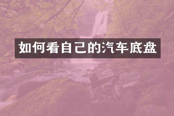 如何看自己的汽车底盘