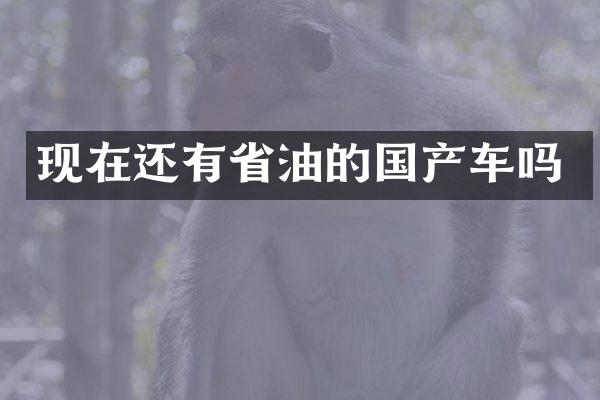 现在还有省油的国产车吗