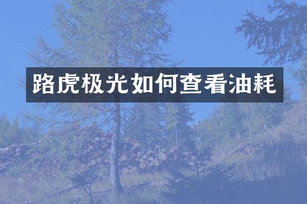 路虎极光如何查看油耗