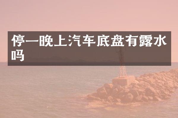 停一晚上汽车底盘有露水吗