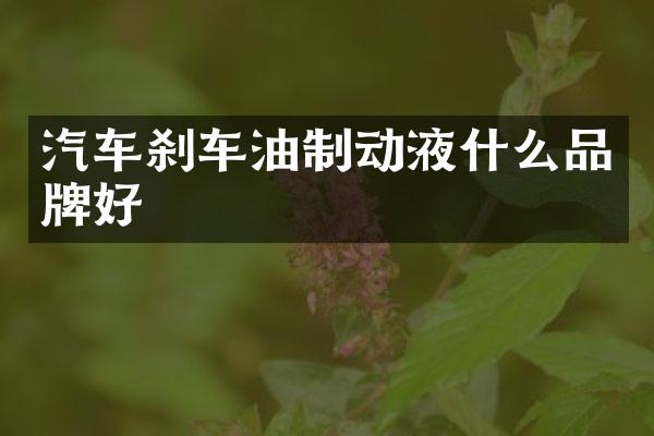 汽车刹车油制动液什么品牌好