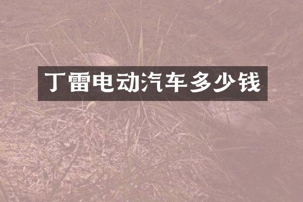 丁雷电动汽车多少钱