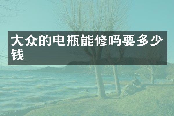 大众的电瓶能修吗要多少钱