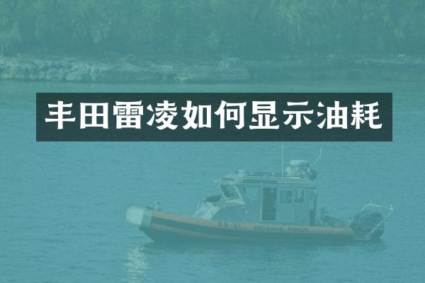 丰田雷凌如何显示油耗