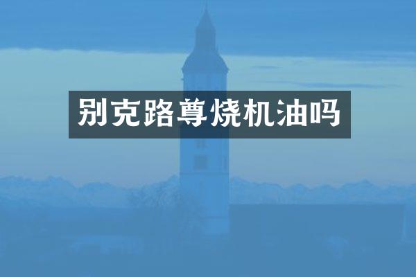 别克路尊烧机油吗