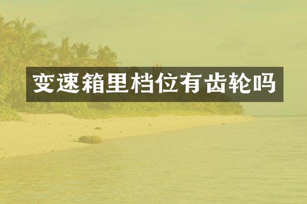 变速箱里档位有齿轮吗