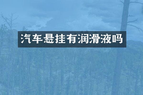 汽车悬挂有润滑液吗