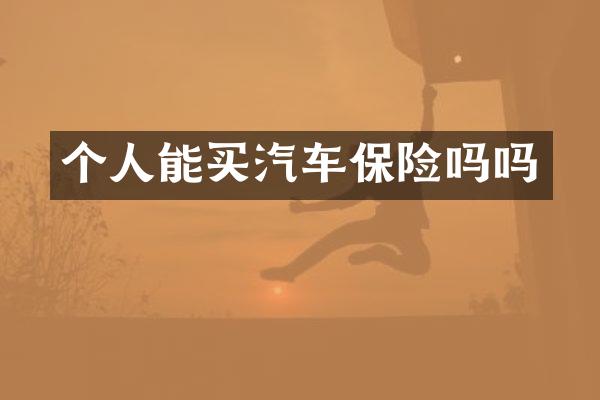 个人能买汽车保险吗吗