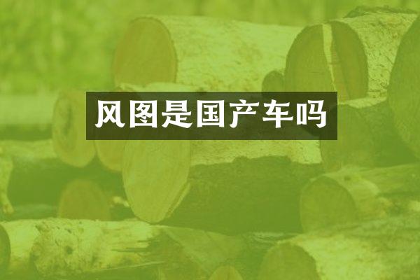 风图是国产车吗