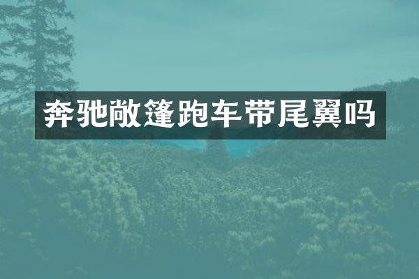 奔驰敞篷跑车带尾翼吗
