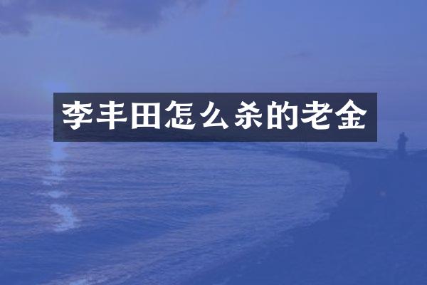 李丰田怎么杀的老金