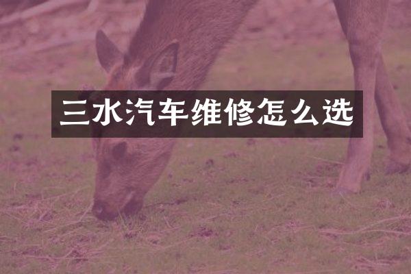 三水汽车维修怎么选
