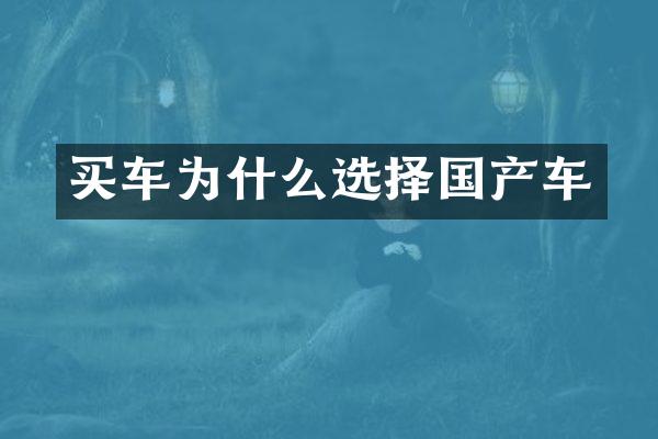 买车为什么选择国产车
