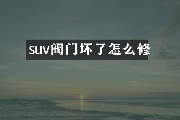 suv阀门坏了怎么修