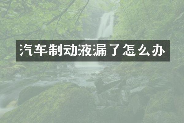 汽车制动液漏了怎么办