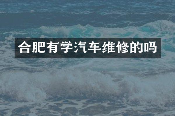 合肥有学汽车维修的吗
