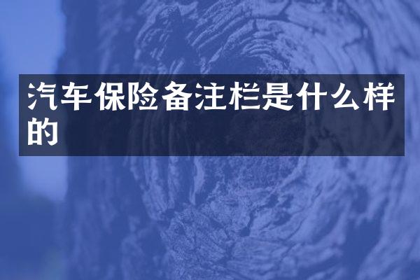 汽车保险备注栏是什么样的