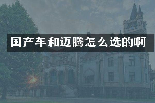 国产车和迈腾怎么选的啊