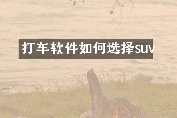 打车软件如何选择suv