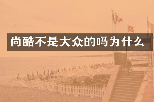 尚酷不是大众的吗为什么