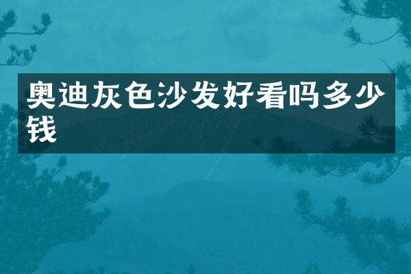 奥迪灰色沙发好看吗多少钱