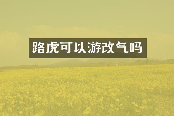 路虎可以游改气吗