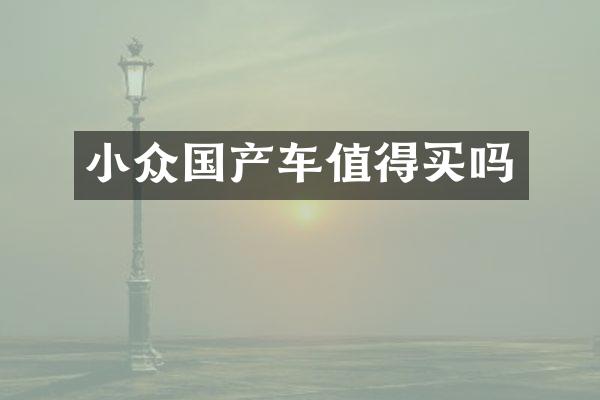 小众国产车值得买吗