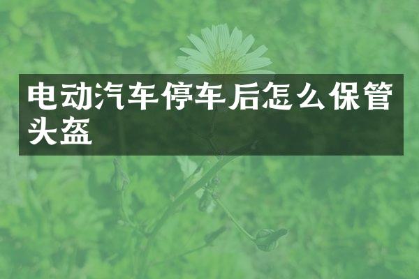 电动汽车停车后怎么保管头盔