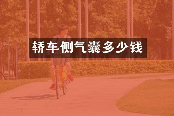 轿车侧气囊多少钱