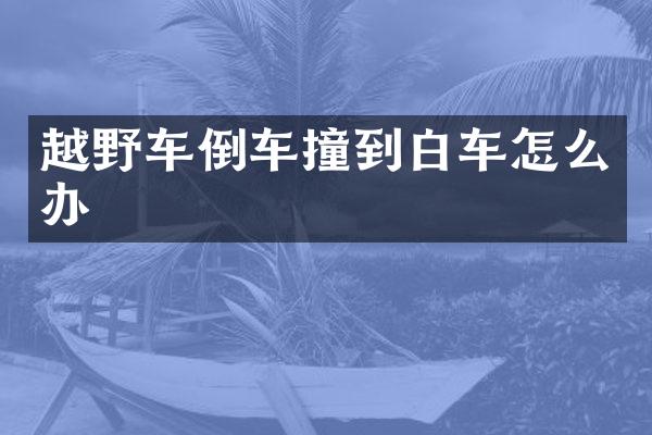 越野车倒车撞到白车怎么办