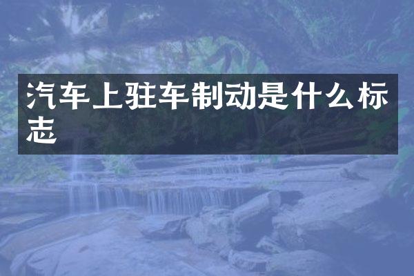 汽车上驻车制动是什么标志