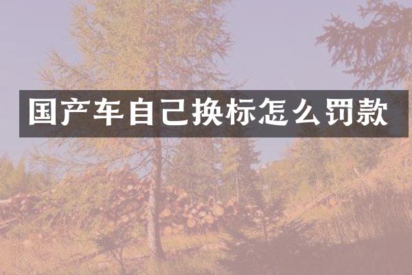国产车自己换标怎么罚款