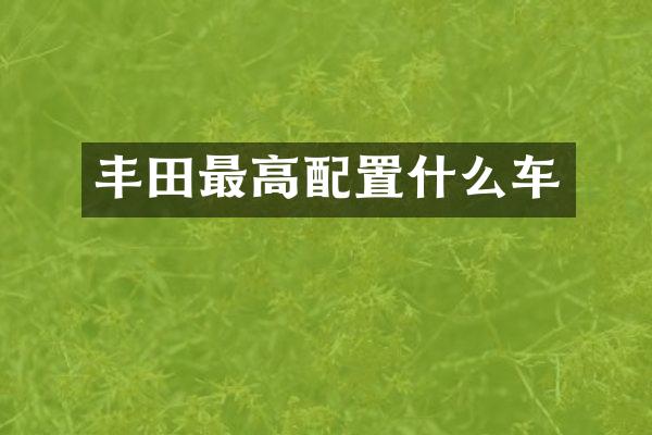 丰田最高配置什么车