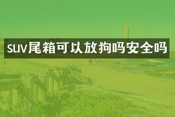 suv尾箱可以放狗吗安全吗