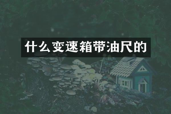 什么变速箱带油尺的
