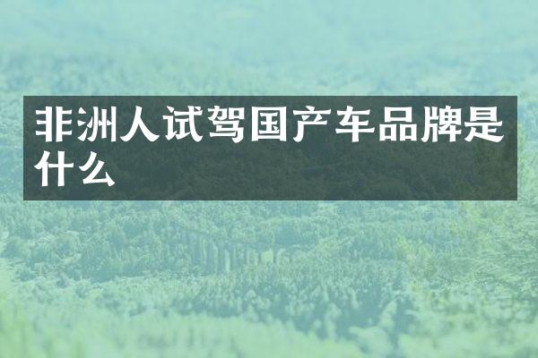 非洲人试驾国产车品牌是什么