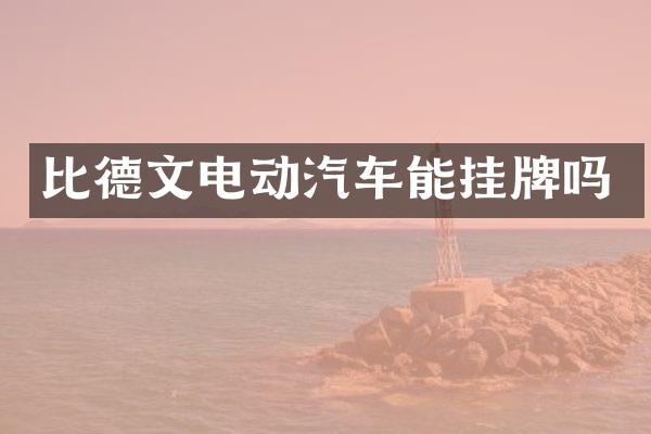 比德文电动汽车能挂牌吗