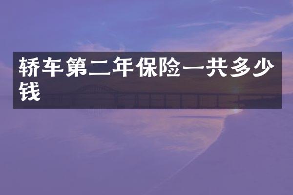 轿车第二年保险一共多少钱
