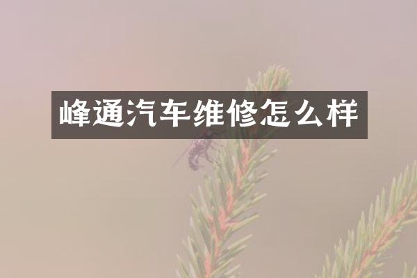 峰通汽车维修怎么样