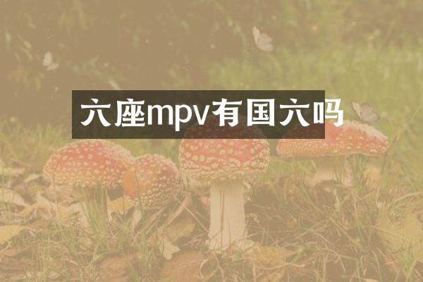 六座mpv有国六吗