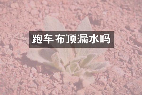 跑车布顶漏水吗