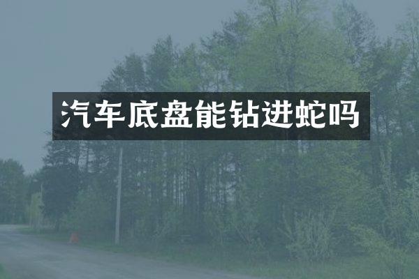 汽车底盘能钻进蛇吗