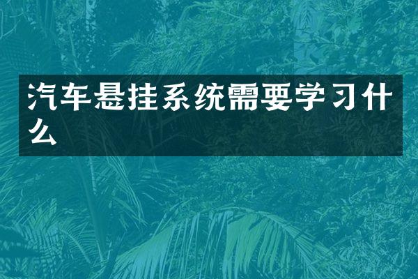 汽车悬挂系统需要学习什么