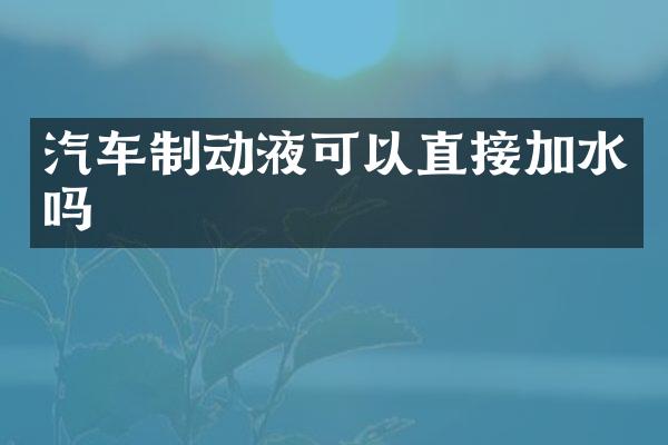 汽车制动液可以直接加水吗