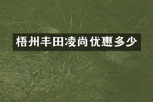 梧州丰田凌尚优惠多少