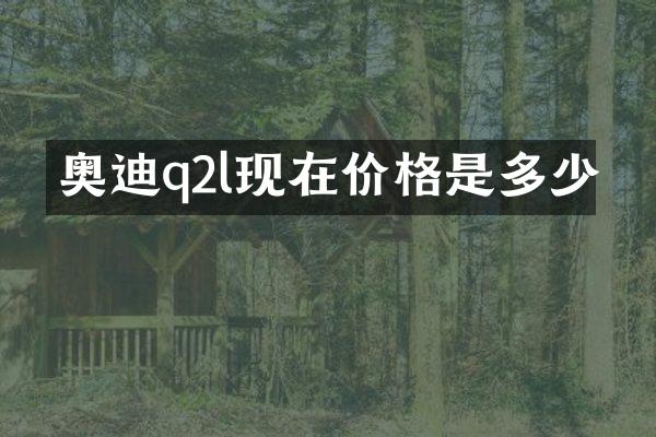奥迪q2l现在价格是多少