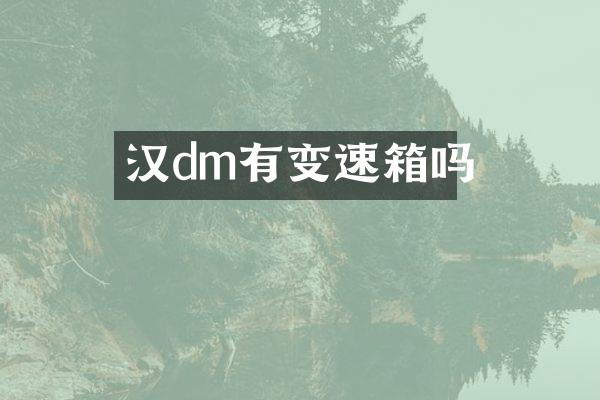 汉dm有变速箱吗
